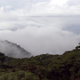 Costa Rica’s incredible Monteverde Cloud Forest Reserve.